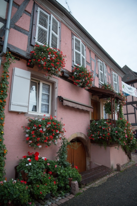 Eguisheim - 045